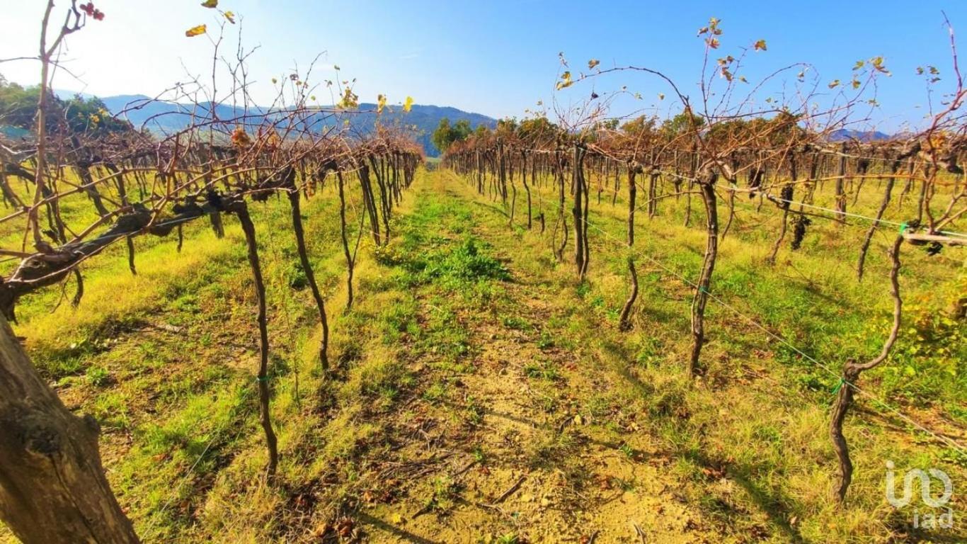 Podere Mona Pomarance Exterior photo